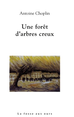 Une forêt d'arbres creux